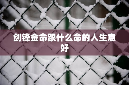 剑锋金命跟什么命的人生意好