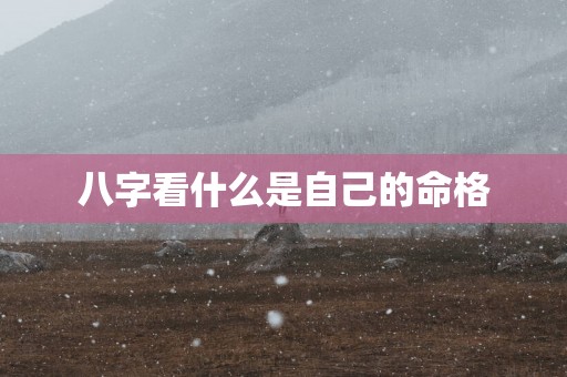 八字看什么是自己的命格