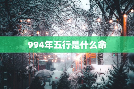 994年五行是什么命