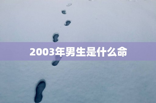 2003年男生是什么命