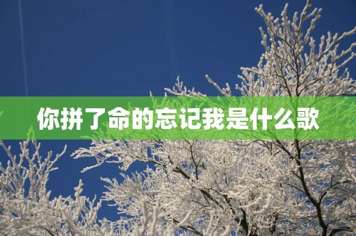 你拼了命的忘记我是什么歌
