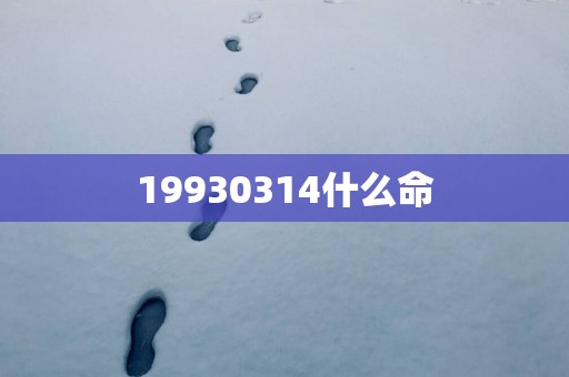 19930314什么命