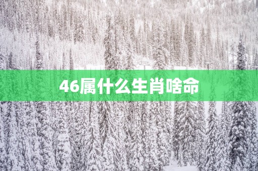 46属什么生肖啥命