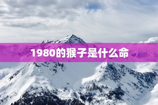 1980的猴子是什么命