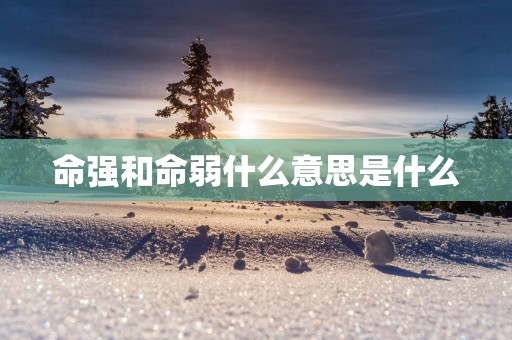 命强和命弱什么意思是什么
