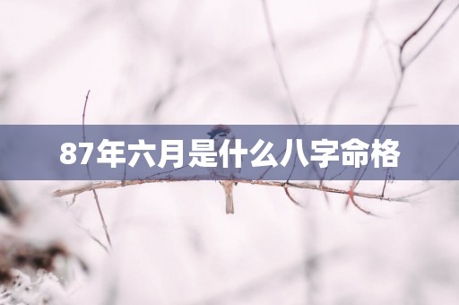 87年六月是什么八字命格