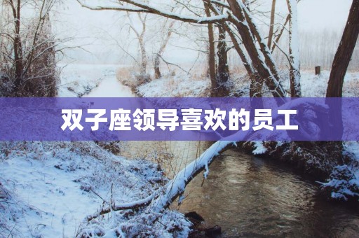 双子座领导喜欢的员工