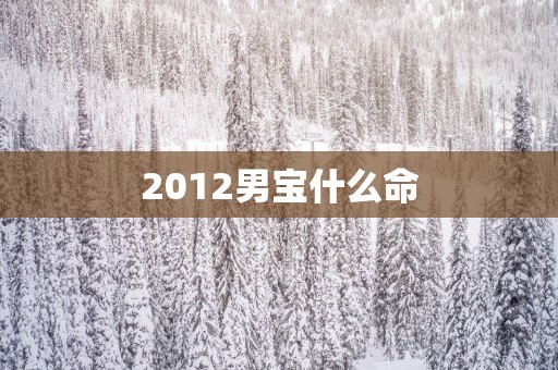 2012男宝什么命
