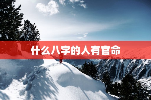 什么八字的人有官命