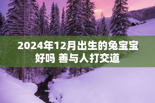 2025年12月出生的兔宝宝好吗 善与人打交道