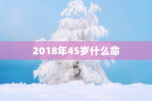2018年45岁什么命