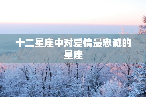 十二星座中对爱情最忠诚的星座