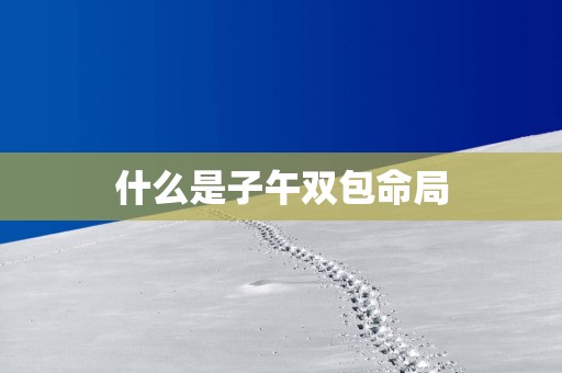 什么是子午双包命局