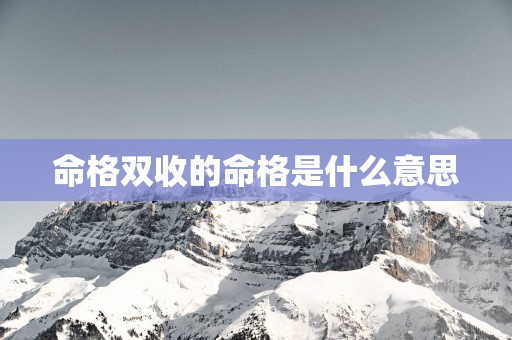 命格双收的命格是什么意思