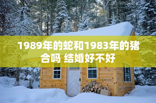 1989年的蛇和1983年的猪合吗 结婚好不好