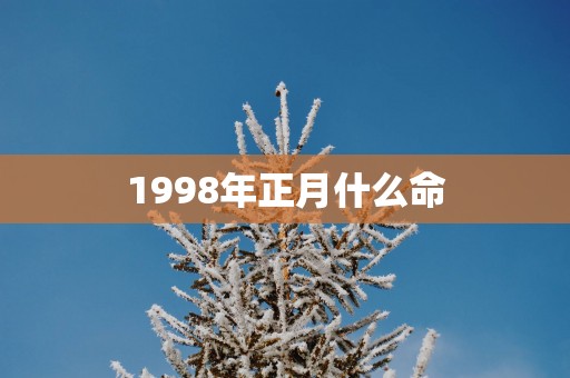 1998年正月什么命