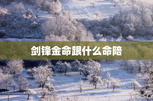 剑锋金命跟什么命陪