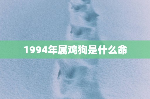 1994年属鸡狗是什么命