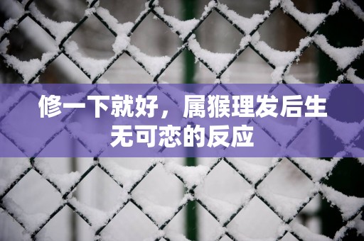 修一下就好，属猴理发后生无可恋的反应