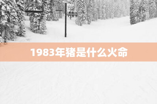 1983年猪是什么火命