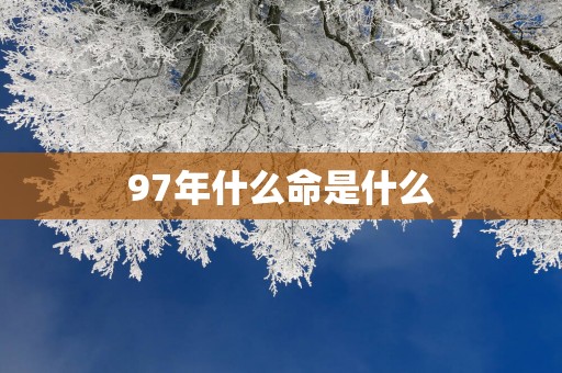 97年什么命是什么