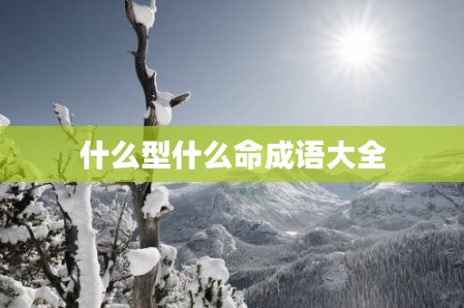 什么型什么命成语大全