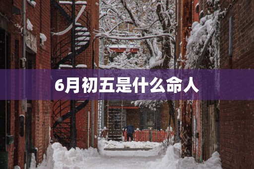 6月初五是什么命人