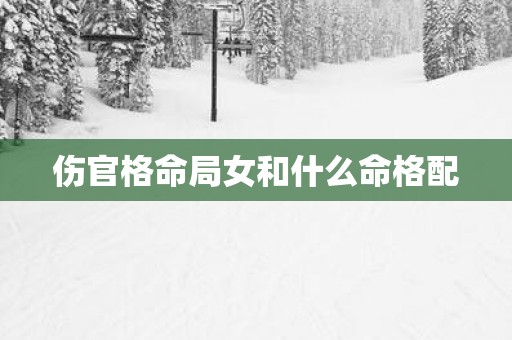 伤官格命局女和什么命格配