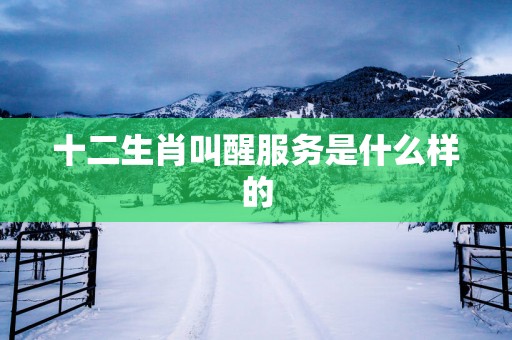 十二生肖叫醒服务是什么样的