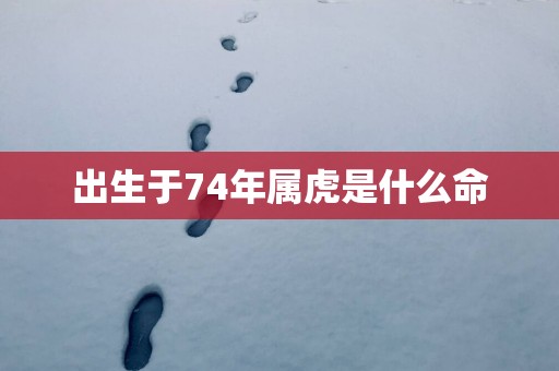 出生于74年属虎是什么命