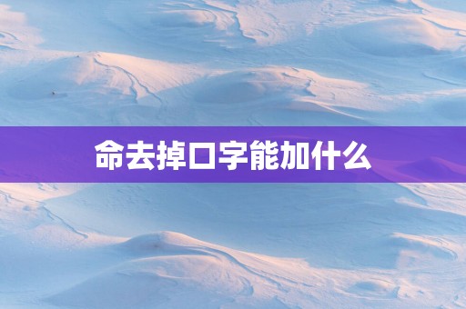 命去掉口字能加什么