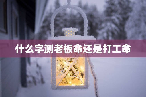 什么字测老板命还是打工命