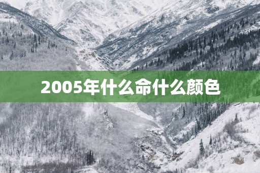 2005年什么命什么颜色