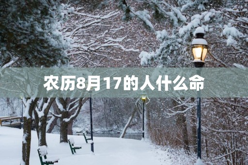 农历8月17的人什么命