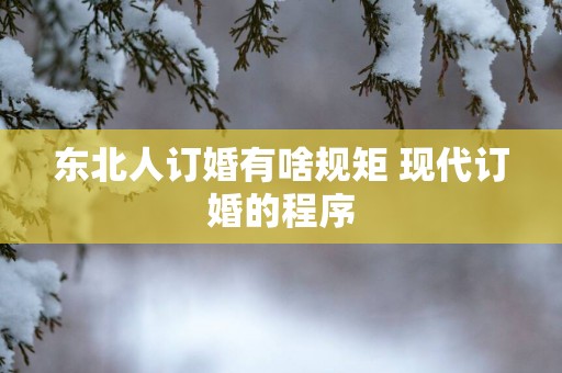 东北人订婚有啥规矩 现代订婚的程序