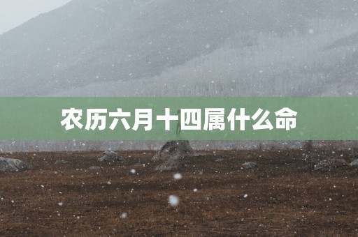 农历六月十四属什么命