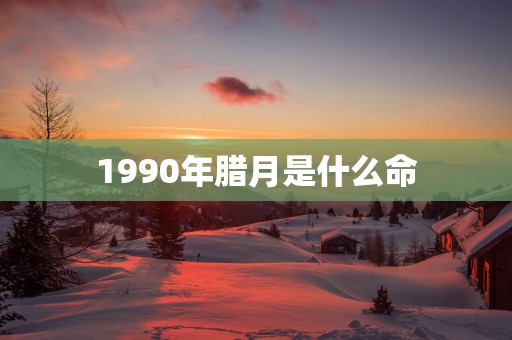 1990年腊月是什么命