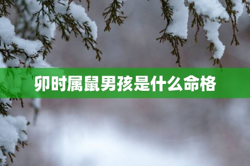 卯时属鼠男孩是什么命格
