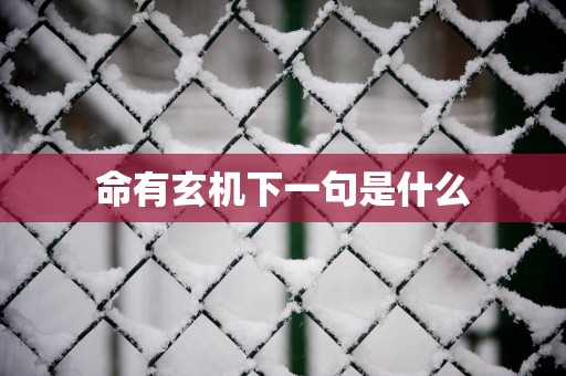 命有玄机下一句是什么