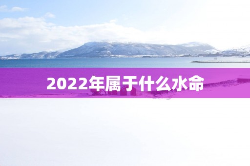 2025年属于什么水命