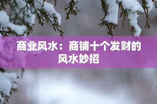 商业风水:商铺十个发财的风水妙招 商业风水:商铺十个发财的风水妙招