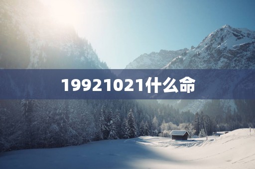 19921021什么命