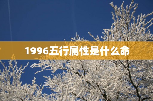 1996五行属性是什么命