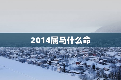 2014属马什么命