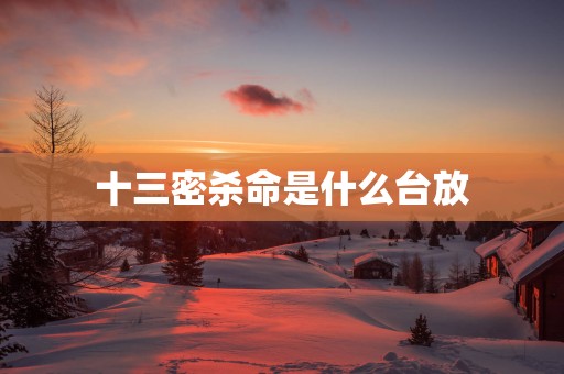 十三密杀命是什么台放