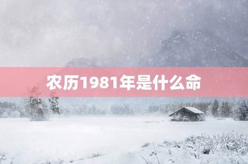 农历1981年是什么命