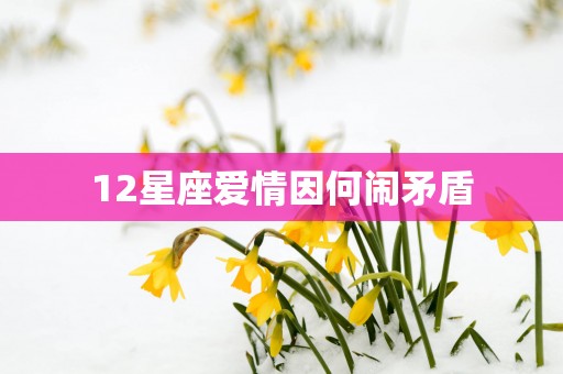 12星座爱情因何闹矛盾