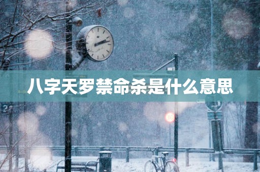 八字天罗禁命杀是什么意思