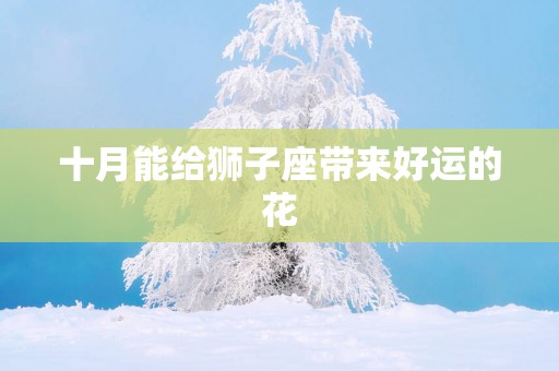 十月能给狮子座带来好运的花