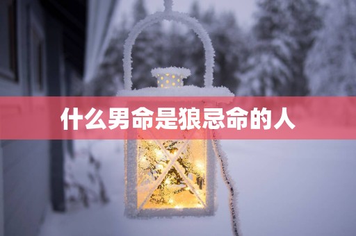 什么男命是狼忌命的人